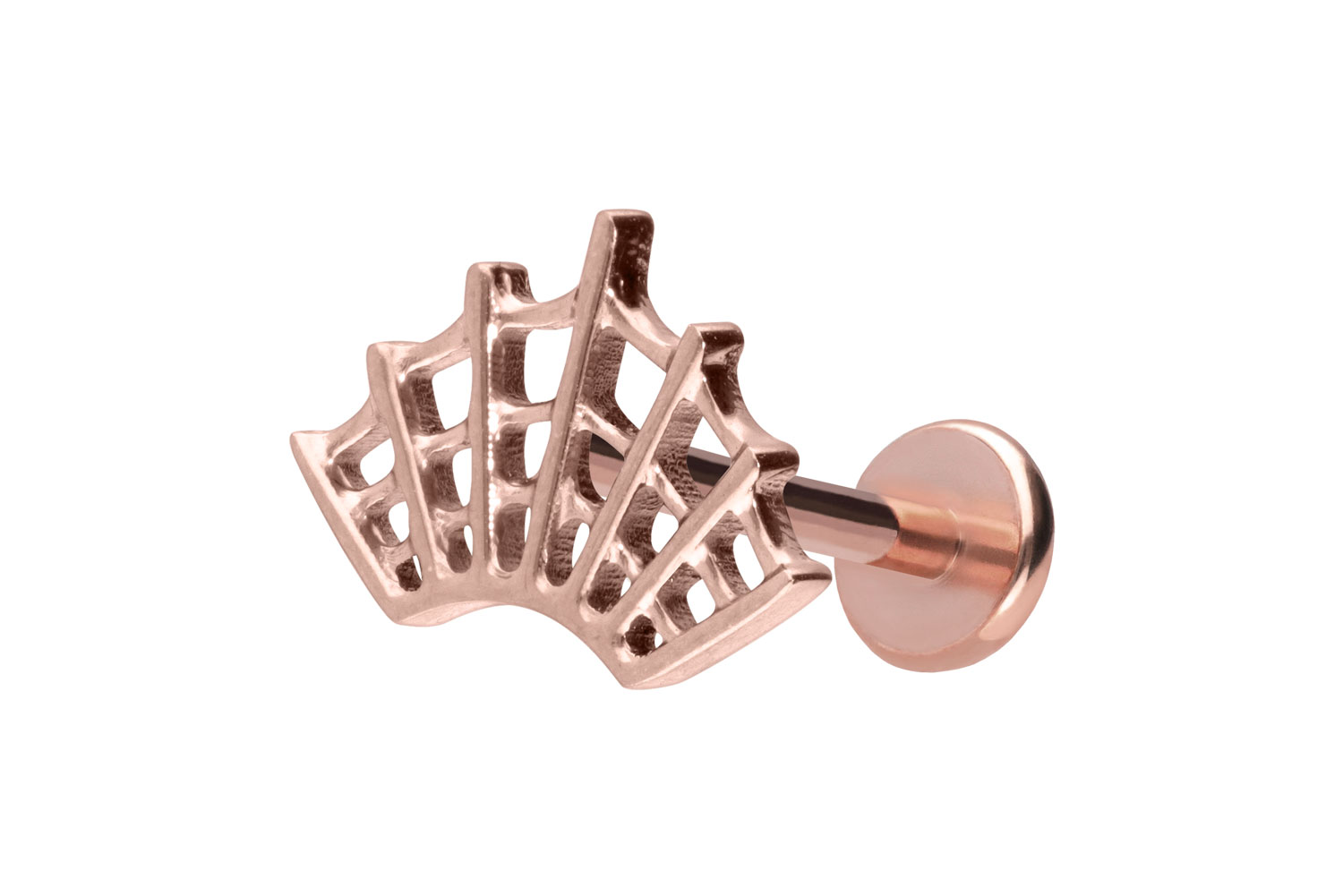 Titan Labret Piercing mit Push Fit SPINNENNETZ